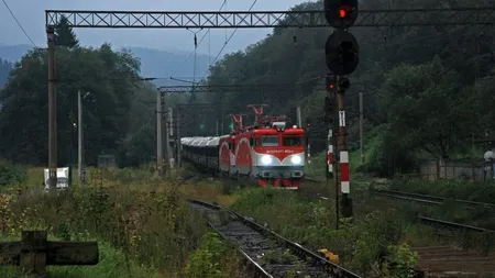 Întârzieri de zeci de minute, după ce un copac a căzut pe locomotiva unui tren