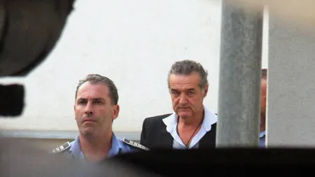 Veste EXCELENTĂ pentru GIGI BECALI. Negocierile dintre PSD şi PPDD vizează ELIBERAREA sa