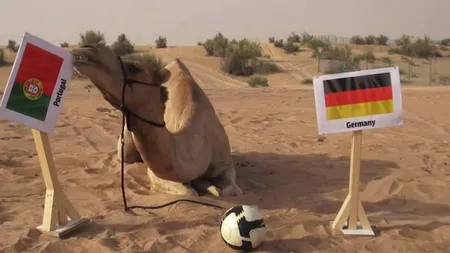 GERMANIA - PORTUGALIA 4-0. Dezastru pentru Cristiano Ronaldo