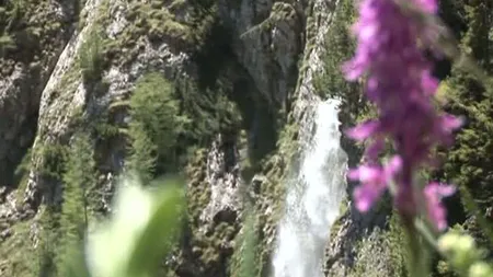 FENOMEN STRANIU în Munţii BUCEGI. CASCADA-FANTOMĂ care se formează o singură dată pe an VIDEO