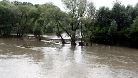 Se anunţă inundaţii: COD GALBEN de viituri pentru jumătate din ţară. HARTA judeţelor vizate