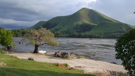 A fost descoperită cea mai veche biodiversitate a Terrei