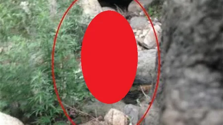 Un turist chinez a fotografiat o CREATURĂ MISTERIOASĂ în nordul Beijing-ului FOTO