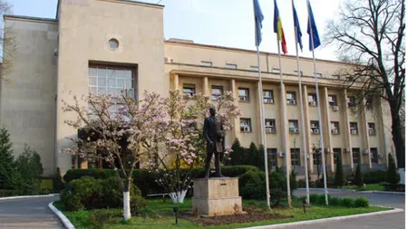 MAE, despre starea adolescentului bătut în Franţa: Pronosticul vital e rezervat, starea generală e stabilă