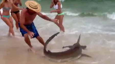 Imagini incredibile: 150 de rechini, văzuti de-a lungul coastelor statului american Alabama VIDEO