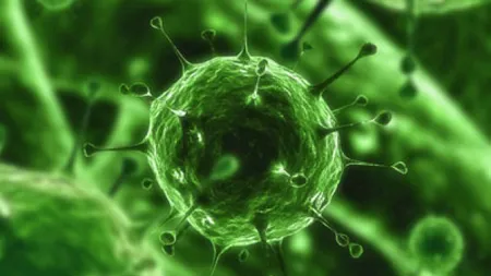 Un VIRUS extrem de periculos la graniţa României. Autorităţile sunt în ALERTĂ