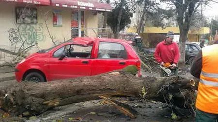 Furtunile au făcut PRĂPĂD în ţară: case inundate, copaci căzuţi şi străzi blocate