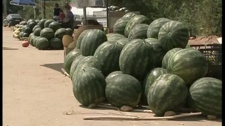 Atenţie când cumpăraţi lubeniţă! Vezi cât de PERICULOŞI sunt pepenii ţinuţi în soare