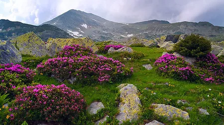 Destinaţii montane din România unde să te ascunzi de căldură GALERIE FOTO