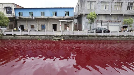 Râul de sânge. Imaginile care au îngrozit lumea