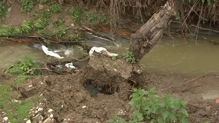 Viitura a mai făcut o victimă. O femeie din Breaza a murit în timp ce traversa un pârâu