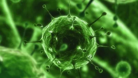 Un VIRUS extrem de PERICULOS ameninţă populaţia. BOALA fără leac poate fi FATALĂ