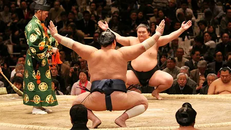 Câţi LUPTĂTORI DE SUMO intră într-un AVION? Imaginea virală care a amuzat Japonia FOTO