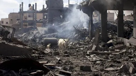 Fetiţa care a emoţionat întreaga lume. Îşi caută cărţile printre ruine, după ce i-a fost bombardată casa FOTO