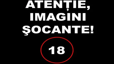 Bătaie ca în filme într-un troleibuz din Chişinău VIDEO