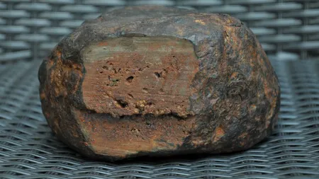 O familie din Petroşani a descoperit o comoară de 400 de milioane de lire sterline în grădină