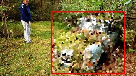 Un bărbat şi-a ABANDONAT MAŞINA în PĂDURE în 1974. Cum arată după 40 de ANI