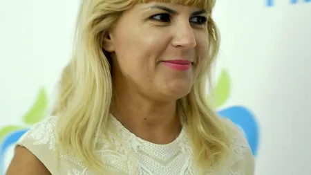 Elena Udrea şi Teodor Meleşcanu, BĂTAIE pe voturile PNL şi PDL dacă Iohannis nu candidează