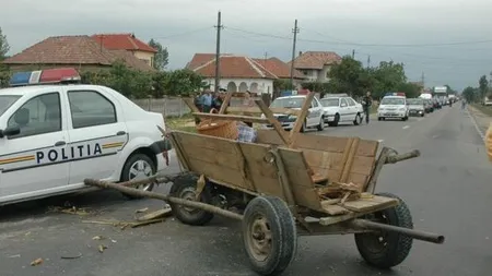 Un şofer a murit, după ce calul pe care l-a lovit cu maşina a intrat prin parbriz