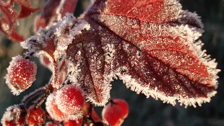 S-a înregistrat CEA MAI SCĂZUTĂ TEMPERATURĂ din toamnă: Minus 3 grade Celsius la Miercurea Ciuc