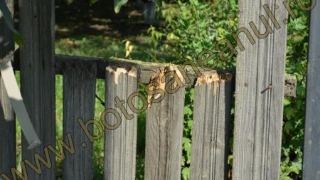 Un bolnav psihic a vandalizat trei curţi, în Botoşani