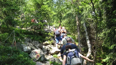 De ce este bine să faci plimbări în natură. Iată ce beneficii aduce sănătăţii