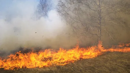 Un TIR a intrat într-o maşină din cauza unui INCENDIU de vegetaţie. Cinci persoane, RĂNITE