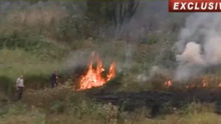 INCENDIU PUTERNIC în zona lacului Văcăreşti din Capitală VIDEO