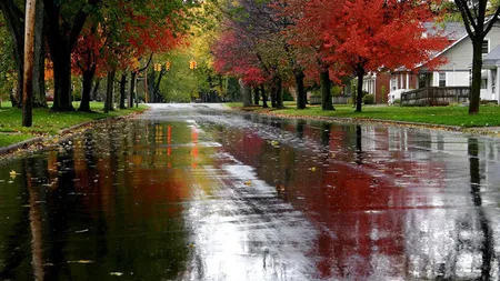 PROGNOZA METEO. Ploile şi furtunile pun stăpânire pe ţară