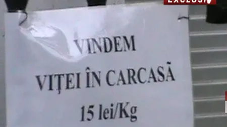 Mănăstirea Cernica a devenit supermarket. Preoţii vând brânză, vin, chiar şi viţei VIDEO CAMERA ASCUNSĂ