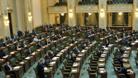 DOSARUL MICROSOFT: Senatorii jurişti au termen 15 zile pentru a întocmi raport în cazul Andronescu-Mihăilescu