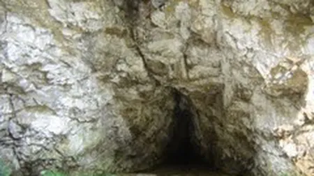 Ceartă între maramureşeni şi sălăjeni pe cel mai porno izvor din lume. 