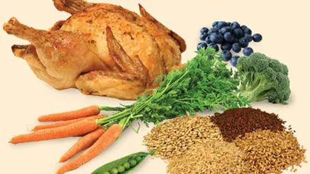 Cum combinăm CORECT alimentele la o masă?