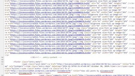 Cine stă în spatele blogului pe care au apărut pozele cu Elena Udrea