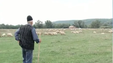 Sumă FABULOASĂ plătită de un cioban pentru a avea loc în primul rând la slujba religioasă