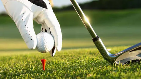 Patru adolescenţi au ucis 920 de găini cu crosa de golf VIDEO