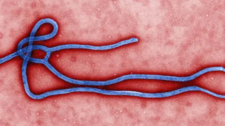 ALERTĂ în Statele Unite: EBOLA a ajuns pe CONTINENTUL AMERICAN