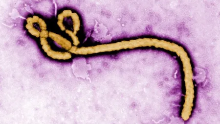 Un medic al ONU contaminat cu Ebola a murit într-un spital din Germania