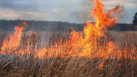 INCENDIU DE VEGETAŢIE în Giurgiu: Mai multe sate şi DN 5, învăluite în fum pe o rază de 20 de kilometri