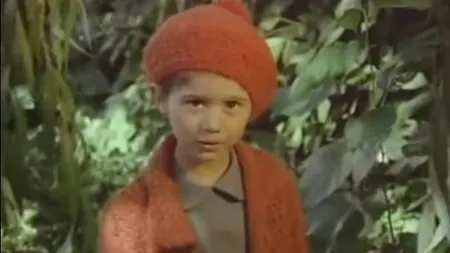 Îţi aminteşti de LIZUCA din 