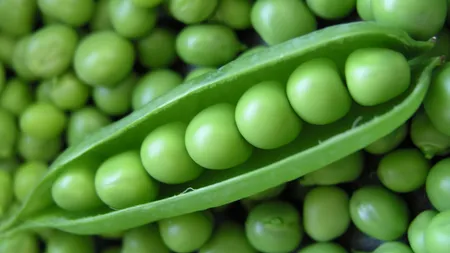 9 proteine vegetale pe care ar trebui să le incluzi în dietă