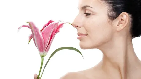 TERAPIA FLORALĂ Bach: Sănătate şi armonie din înţelepciunea florilor