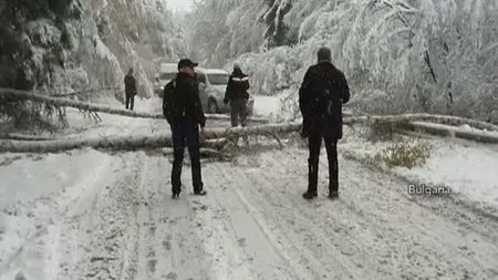 Ninsorile şi ploile abundente au făcut ravagii în Bulgaria şi R. Moldova VIDEO