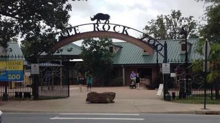 Caz şocant: Copil de 3 ani, muşcat de jaguari la o gradina zoo, după ce a fost scăpat de bunicul său VIDEO