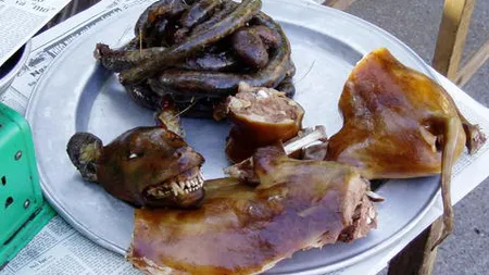 Thailanda nu mai comercializează CARNE de CÂINE şi de PISICĂ