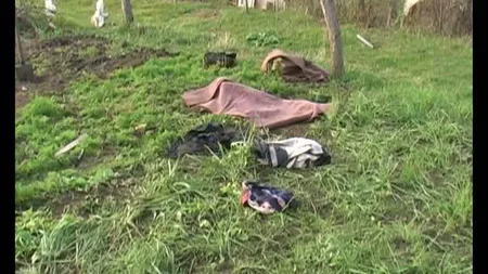 Caz şocant la Curtici: Femeie MUTILATĂ de câinii de luptă ai vecinilor VIDEO