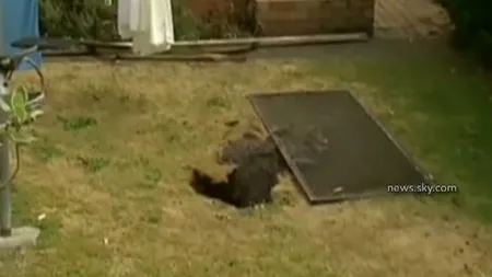 Caz bizar în Australia: A căzut într-o groapă de 3 metri, apărută din senin, în timp ce întindea rufele VIDEO