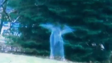 Apariţie MISTERIOASĂ la marginea unei păduri. Un bărbat jură că în faţa lui a apărut un înger