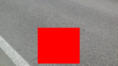 Un DOREL a făcut treabă de mântuială în timp ce asfalta o ŞOSEA. Ce a uitat în ea, întrece orice LIMITĂ FOTO