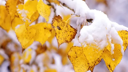 PROGNOZA METEO. Vremea rămâne deosebit de rece. Atenţie la polei!